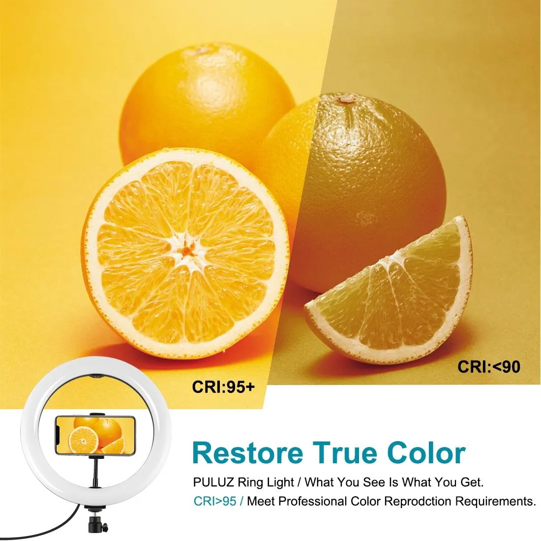 10.2" 26cm Ring Light Kit with Tripod | USB | 3 Modes | Dual Colour | Phone Clamp | Remote | Black