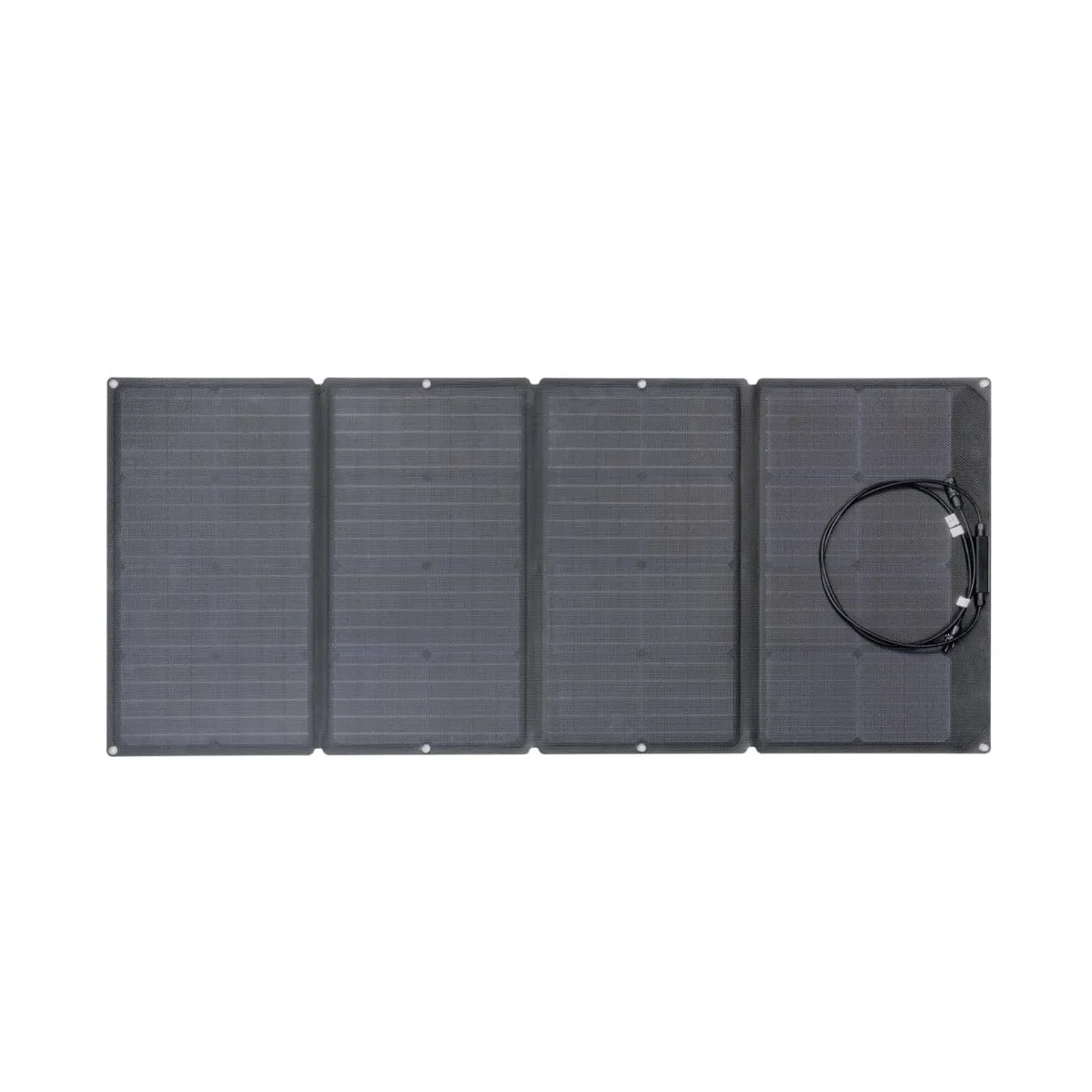 EcoFlow DELTA Max 1600   160W Solar Panel